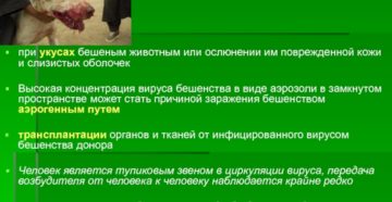 Аэрозольный путь передачи бешенства