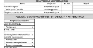 Кандидоз, откуда сдать бак посев