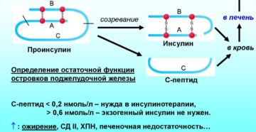 Низкий инсулин и с-пептид