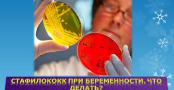 Стафилококк при беременности Стафилококк при беременности