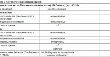 Онкоцитология шейки. Мазок на онкоцитологию шейки матки. Мазок на жидкостную онкоцитологию. Мазок из шейки матки на онкоцитологию. Мазок на онкоцитологию по Папаниколау.