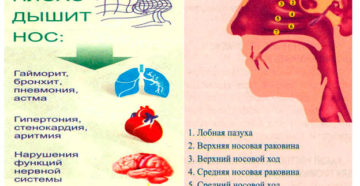 Ночью у ребёнка плохо дышит нос