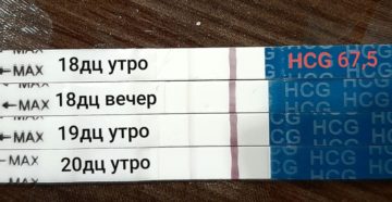 Мазня на 21 ДЦ