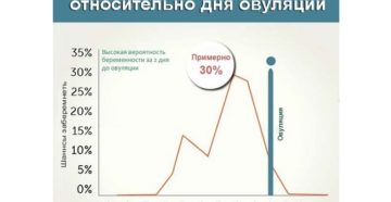 Вероятность беременности в конце цикла