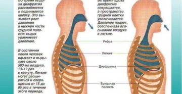 Свист при вдохе и выдохе по ночам