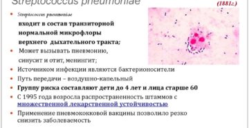 В мокроте обнаружили streptococcus pnevmonie