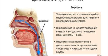 Попадание пищи в дыхательные пути