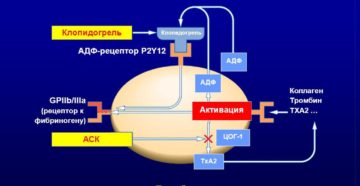 Привыкание к клопидогрелю