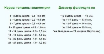 Норма эндометрия после месячных